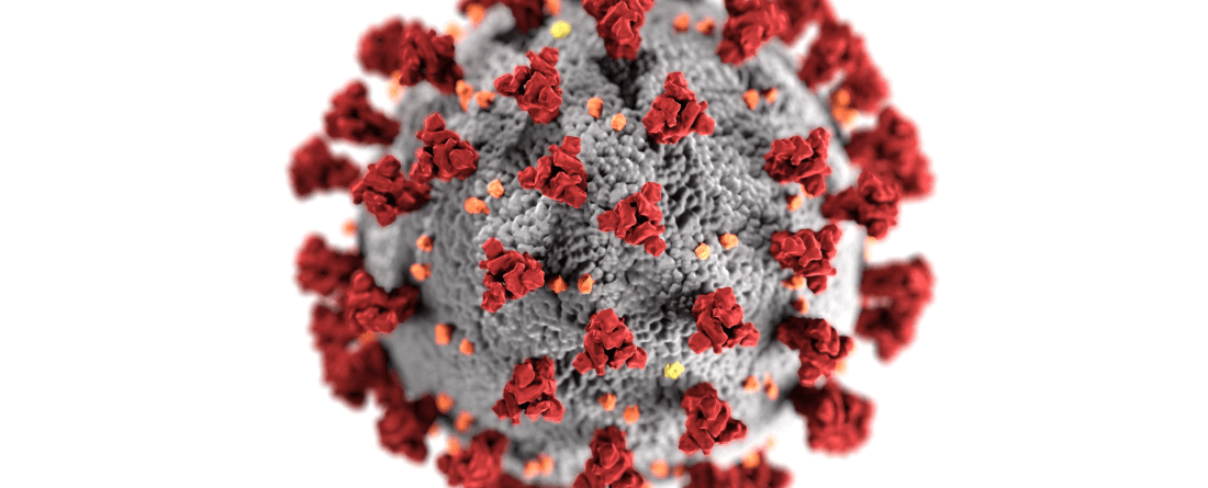 Microscopic image of SARS-CoV-2